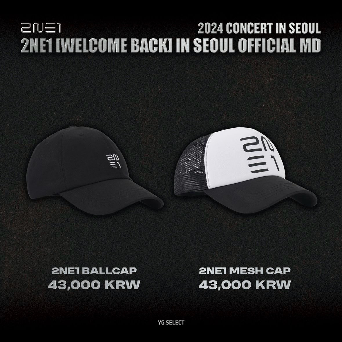 [PRE ORDER] [ETA NOV. 1] 2024 2NE1 CONCERT [WELCOME BACK] IN SEOUL